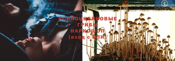 твердый Алзамай