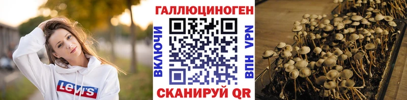 как найти   Оленегорск  ОМГ ОМГ зеркало  Псилоцибиновые грибы Cubensis 